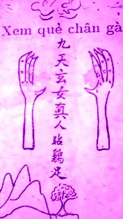 Phú xem giò gà